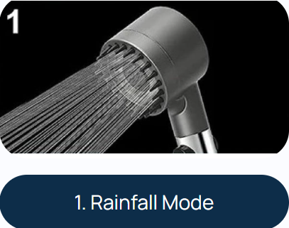 THE FILTERED SHOWERHEAD™